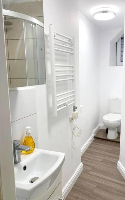 Central Studio Flat Bucureşti Ngoại thất bức ảnh